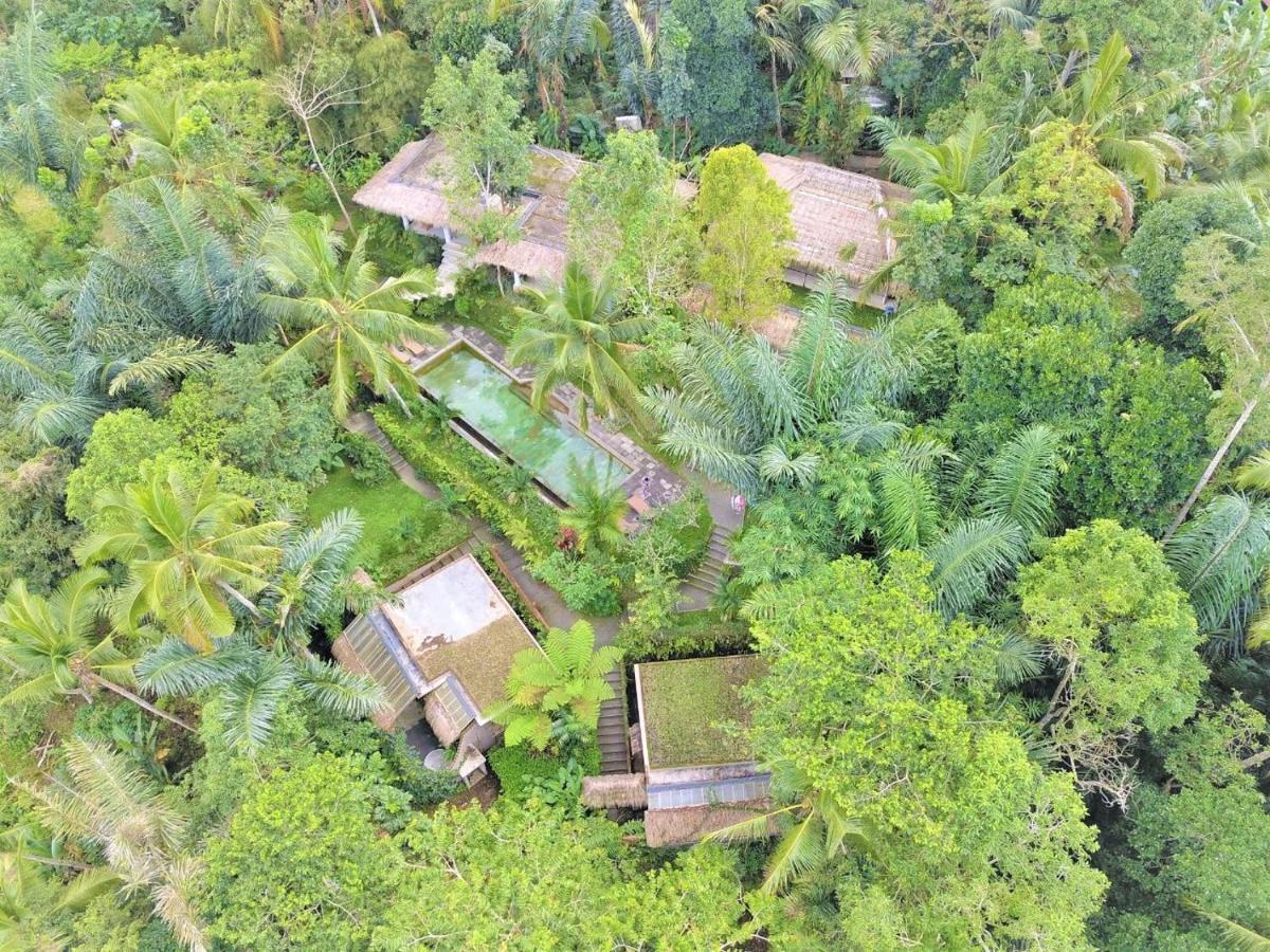 Villa Rimba Ubud Tegallalang  Esterno foto