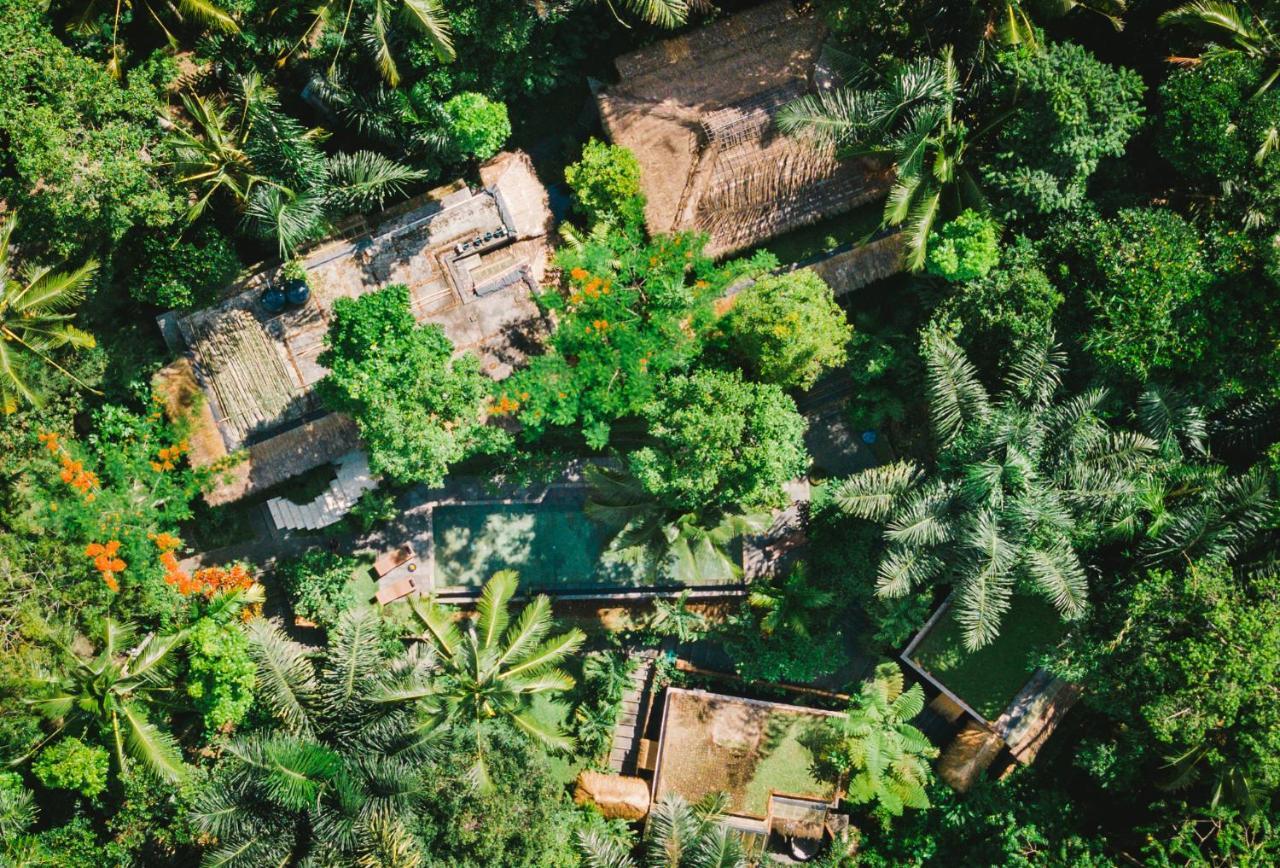 Villa Rimba Ubud Tegallalang  Esterno foto
