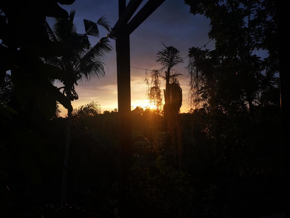 Villa Rimba Ubud Tegallalang  Esterno foto